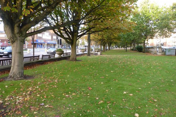 Formal urban park with grass and trees on roadside