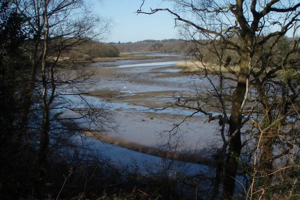 A river at low tide
