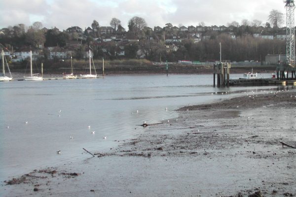 Tidal flats with a town in the background