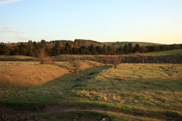 A large green field with trees in the background