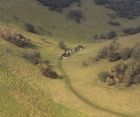 Grassy valley with fields in the background