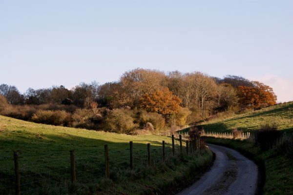 Grassy fields and deciduous woodlands
