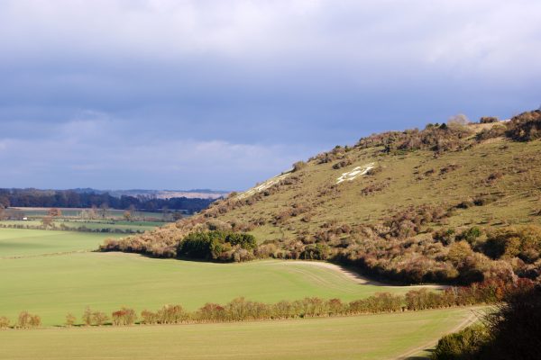 Arable land and chalk hillside
